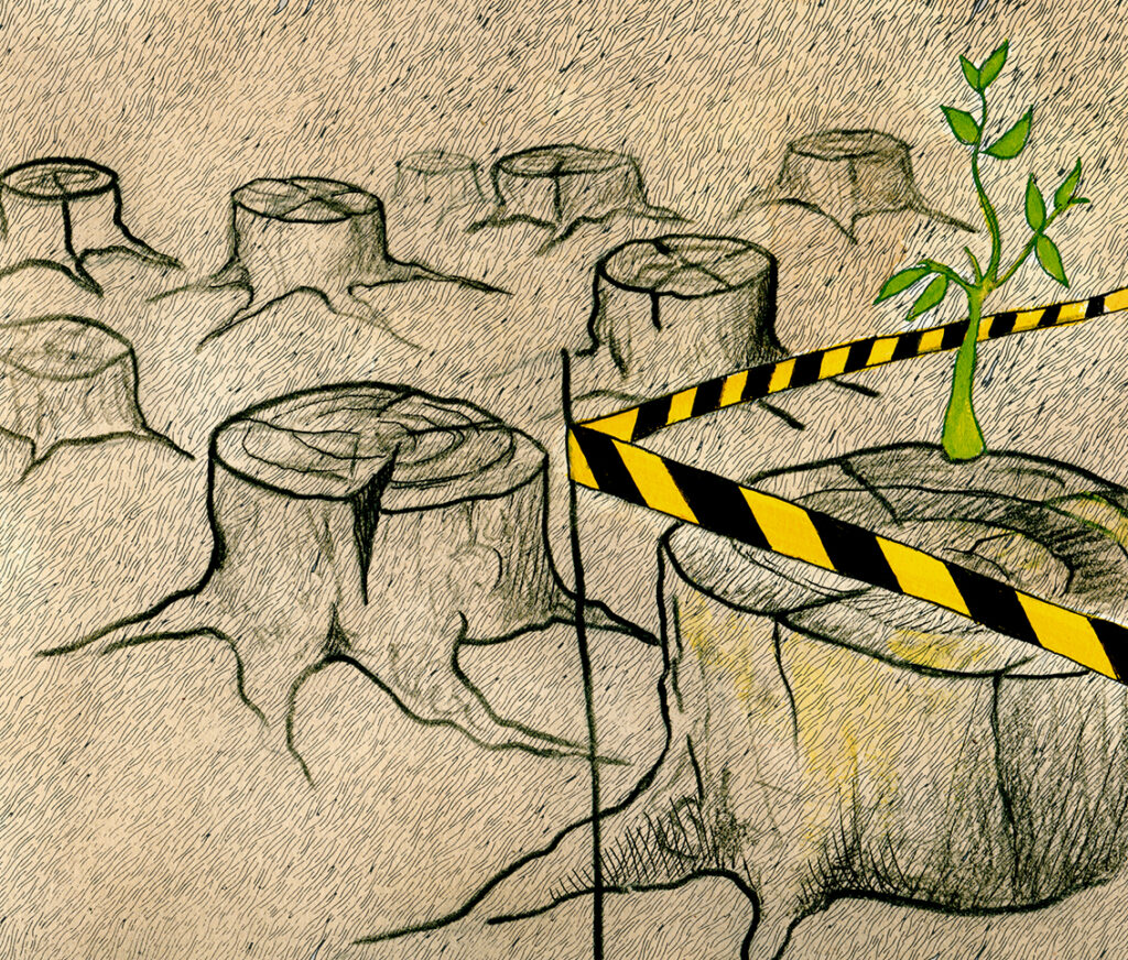 Picture Deforest FedericoMendezH LOW 1024x872